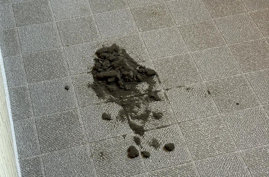 Ducati 1098S 防音材の成れの果て