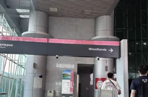 Toward to Woodlands. Exit control at Johor Bahru　ジョホール・バールの出国審査