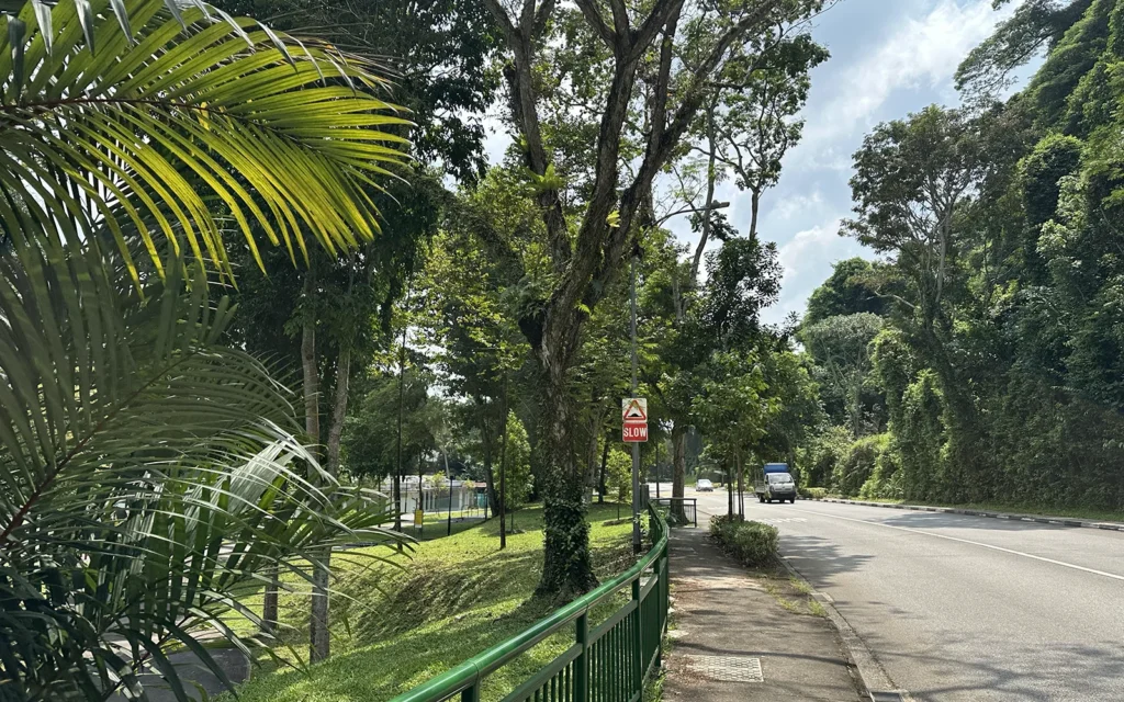 チャンギ東側 シンガポールNatheravon Road