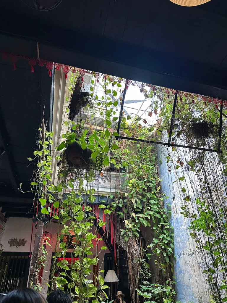 The Baboon Houseの店内画像１