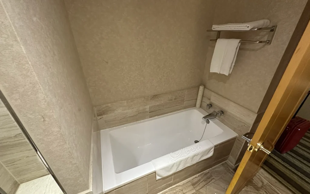 高雄駅近くの宿泊先 THE LEES HOTEL の客室　バスタブ